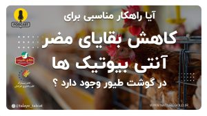 راهکارهای موثر برای کاهش اثرات آنتی بیوتیک ها