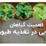 اهمیت گیاهان دارویی در تغذیه طیور