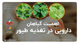 اهمیت گیاهان دارویی در تغذیه طیور