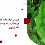 بررسی اثرات مفید گیاهان دارویی بر عملکرد رشد و سطح سلامتی در دام پرواری