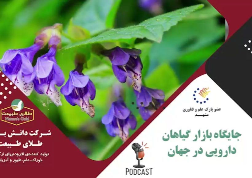 بازار گیاهان دارویی درجهان