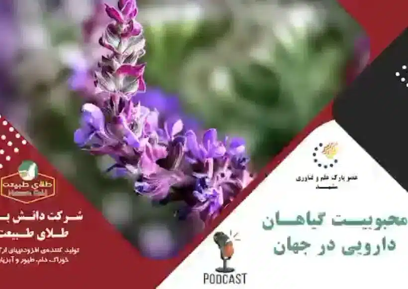 محبوبیت گیاهان دارویی در جهان