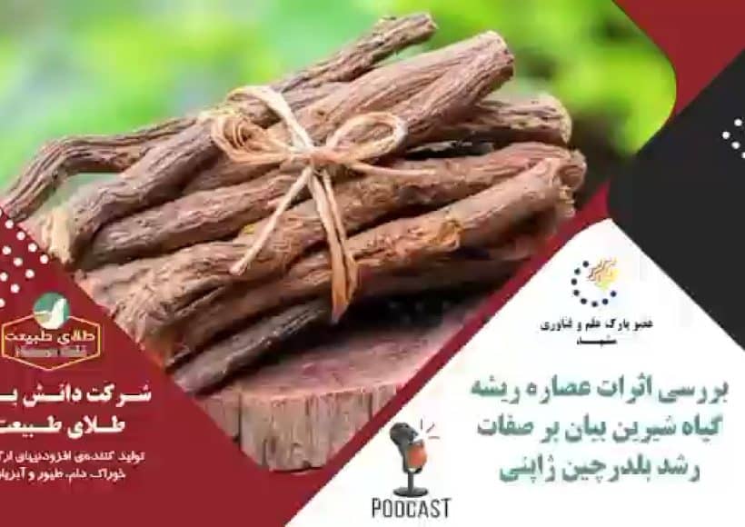 گیاه شیرین بیان