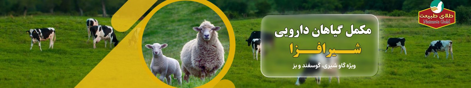 مکمل گیاهان دارویی شیرافزا