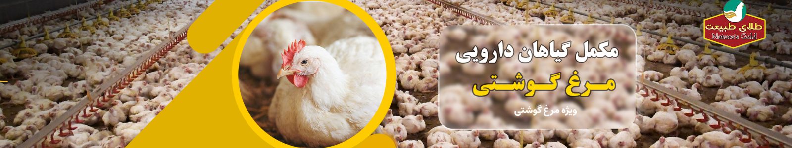 مکمل گیاهان دارویی مرغ گوشتی